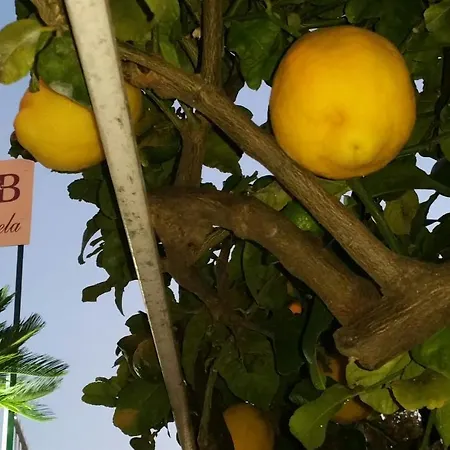 Nonnangela Маратея