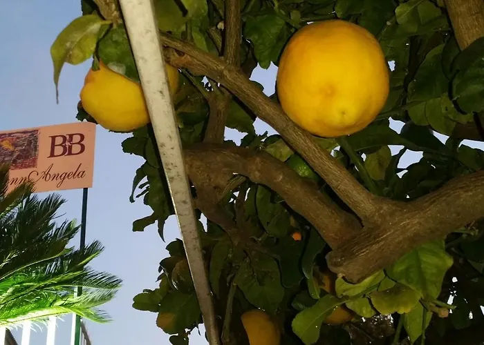 Nonnangela מראטיאה